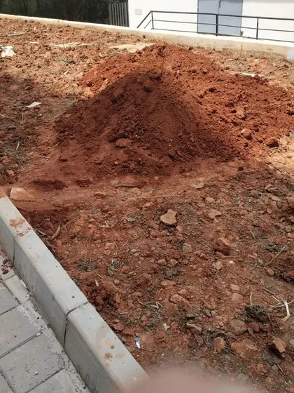 Another angle of the earthwork in progress. This initial phase is critical for establishing the topography that will define the planting areas, pathways, and overall feel of the space.