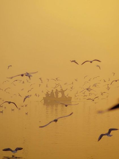 A golden, hazy shot of a boat surrounded by birds, featured as part of my work.