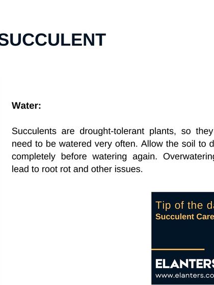 Expert Plant Care & Tips photo 73