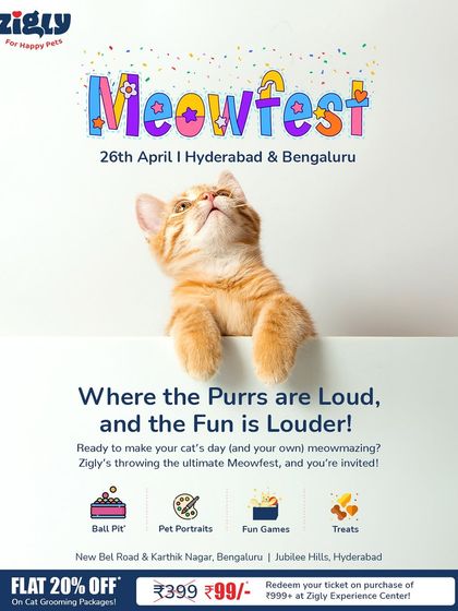 Zigly - Pet Supplies Special Offers & Announcements photo 5