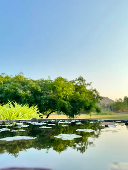 Another shot of the lily pond, a reminder of our 3-day detox program. These short retreats are perfect for anyone needing a quick yet effective reset.