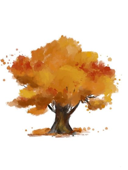 Nature's Palette photo 13