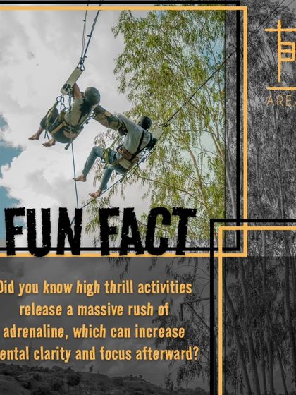 Fun fact: High-thrill activities release a massive rush of adrenaline, which can increase mental clarity and focus afterward.