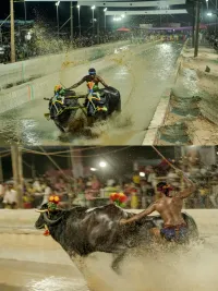 Cultural & Documentary Photography