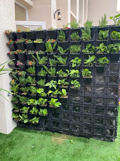 This image captures the installation of a living wall on a balcony. The modular pocket system allows us to create a dense and healthy garden even in compact spaces.