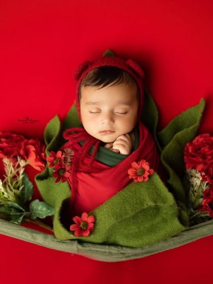 A creative shot of a newborn wrapped snugly like a little flower bud against a vibrant red backdrop. This pose highlights the baby's peaceful expression and tiny, curled-up form.