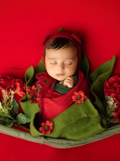 A creative shot of a newborn wrapped snugly like a little flower bud against a vibrant red backdrop. This pose highlights the baby's peaceful expression and tiny, curled-up form.