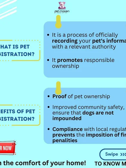 Wondering why pet registration is important? It's official proof of ownership, improves community safety, and ensures you comply with local Gurugram regulations to avoid any fines.