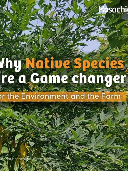 Why are native species a game-changer? Because they are adapted to local conditions, require less water, and provide a natural defense against pests by attracting beneficial insects and birds.