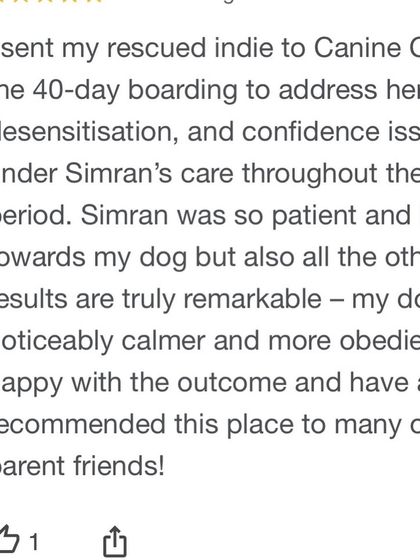 "The results are truly remarkable." This review from the owner of a rescued Indie highlights the noticeable change in her dog's calmness and obedience after our 40-day board and train program.