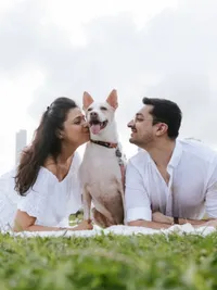 Pet Photography
