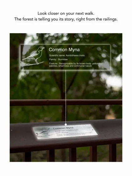 Along the railings, I embedded these subtle steel plates embossed with information about the surrounding species. This detail turns the walkway into a self-guided nature trail, telling the story of the forest to those who look closer.
