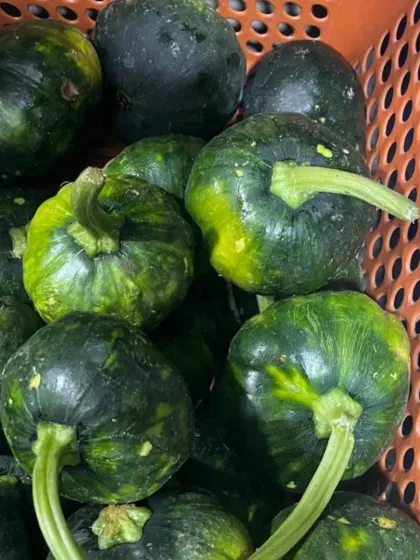 Small, dark green pumpkins, a common vegetable in Naga cuisine. They have a sweet, nutty flavor and are excellent in both savory stews and sweet dishes.