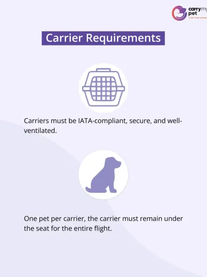 CarryMyPet - Pet Travel & Parenting Consultation Your Pet Travel Questions, Answered photo 4