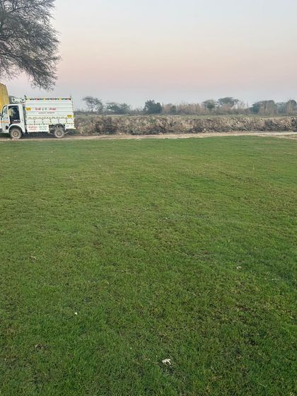 My delivery truck ready to transport freshly harvested grass rolls. I manage the entire process from cultivation to delivery to guarantee freshness.