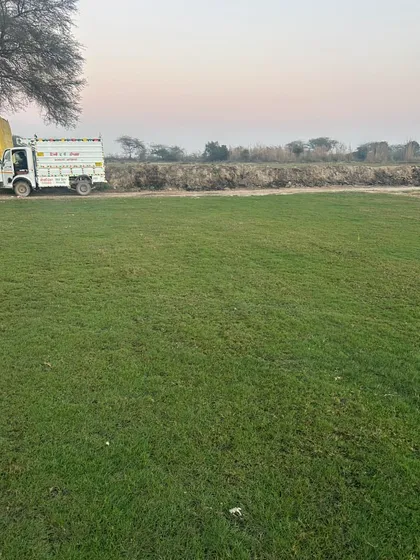 A wide shot of one of my grass fields with a delivery truck in the background. I manage the entire process from farm to installation.