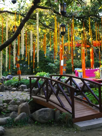 Vibrant Haldi & Mehendi Celebrations photo 55