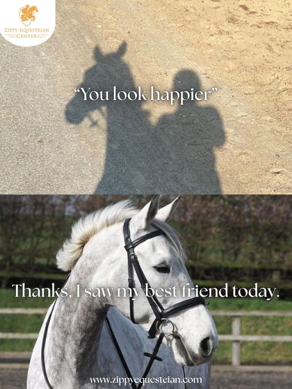 "You look happier." "Thanks, I saw my best friend today." Another take on our favorite theme: the unparalleled friendship between a rider and their horse.