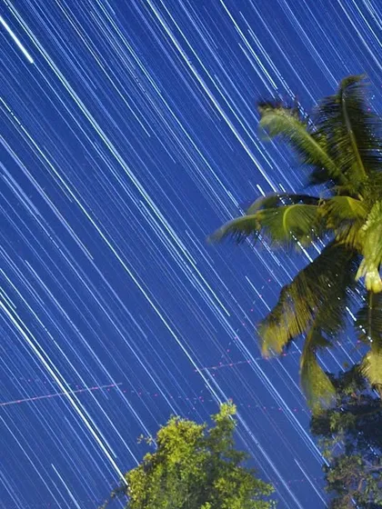 A long-exposure shot creates star trails in the night sky above a palm tree, showing the rotation of the Earth.