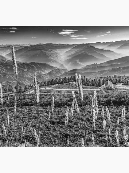 A classic Himalayan landscape from Fagu, Himachal Pradesh. The wild grasses in the foreground lead the eye across layers of misty mountains. I chose black and white to emphasize the texture and tonal depth of this serene, expansive view.