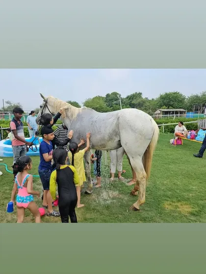 A group of children gathers to help wash a white horse, working together and having a great time.