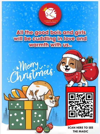 Celebrate this holiday season with us. All the good boys and girls will be cuddling in love and warmth with us for Christmas. Book your pet's festive getaway.