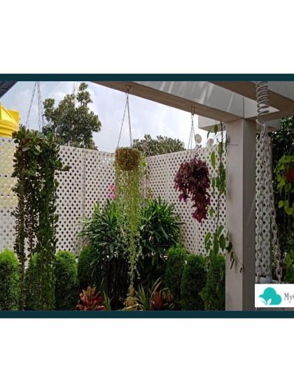 MyCloudforest - Terrace & Balcony Gardening Lush Vertical Gardens photo 3