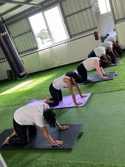 Members practicing the Cat-Cow stretch, a gentle warm-up to improve spinal flexibility and relieve tension.
