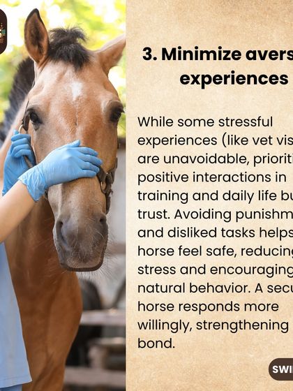 Building trust means minimizing aversive experiences. While some things like vet visits are unavoidable, we focus on positive interactions in daily life to help a horse feel safe and secure.