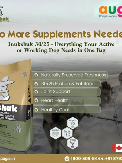 Augie Pets - Pet Supplies Fuel for Happy Hounds: Wholesome Dog Nutrition photo 28