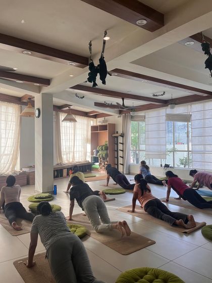 Students in a plank pose, building core strength and stability in a sun-drenched studio.