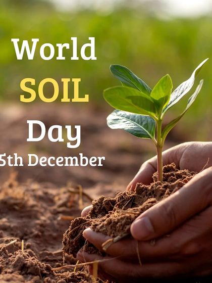 Multiplex Urban Green - Organic Gardening Supplies Soil & Nutrition: The Foundation of Your Garden photo 21