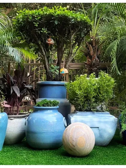 This is the "after" shot of a garden corner transformation. I used a blue and grey color palette with planters of different shapes and sizes, layering plants like Cordyline and Areca Palm to create depth and visual interest on a lush green lawn.