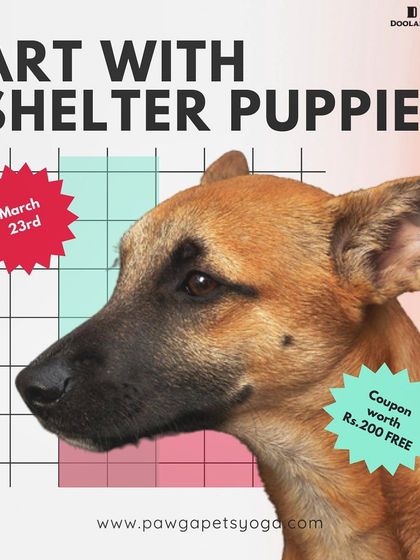 An event poster for our Art with Shelter Puppies workshop in Pune, with a free coupon for Doolally.