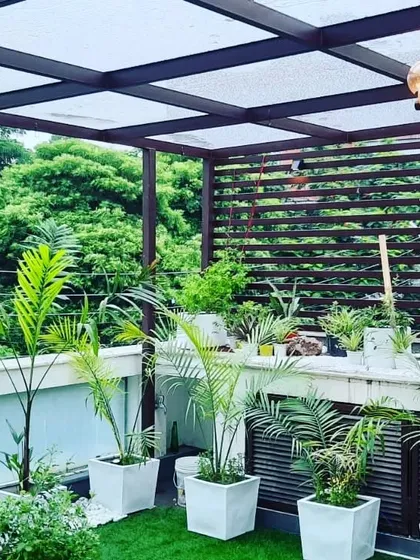 A balcony filled with greenery. We installed a pergola with a clear roof to protect the plants and allow for enjoyment in all weather.