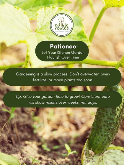 Patience is a virtue in gardening. It's a slow process, and consistent care will show results over weeks, not days.