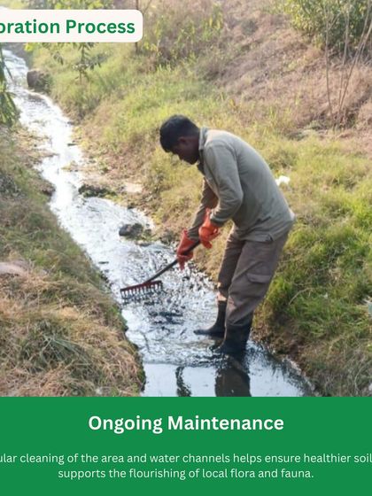 Ongoing maintenance is key to our success. Here, a team member cleans a water channel at Behrampur Bundh to ensure healthy soil and support the flourishing of local flora and fauna.