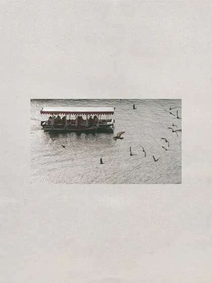 A minimalist shot of a boat and birds on the lake in Udaipur, setting the scene and capturing the peaceful atmosphere of the City of Lakes.