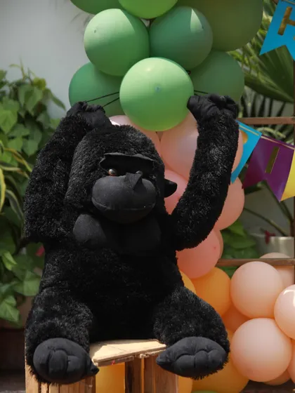 This big, friendly gorilla is ready to party! I use large plush animals to enhance the theme and create fun photo opportunities.