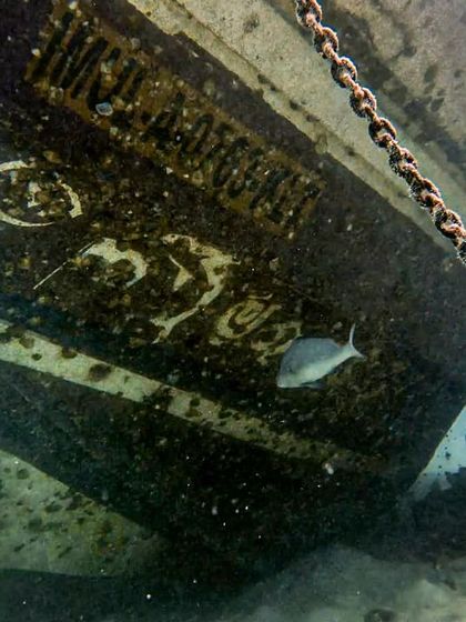 Every wreck has a story to tell, often visible in the details. This close-up shows the stern of a sunken boat at Gaafaru, with its name still faintly visible beneath the marine growth. Our courses emphasize appreciating the history and preserving the integrity of these underwater sites.