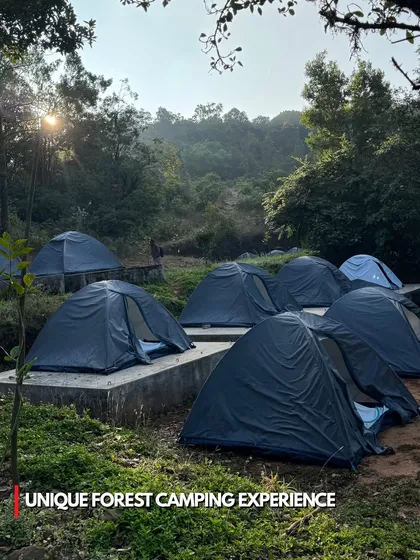 A unique forest camping experience is part of our Kumara Parvatha trek. We set up tents in a clearing for a night under the stars.