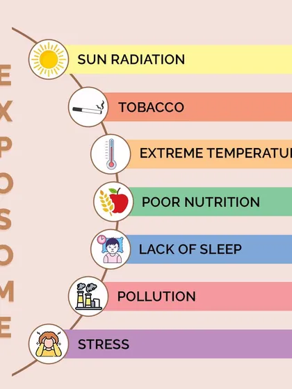 This infographic explains the 'Exposome,' which is the totality of environmental exposures that contribute to extrinsic aging. Managing your exposome is key to delaying aging.