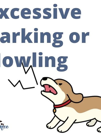 While some barking is normal, excessive barking or howling is often a dog's way of communicating distress, boredom, or anxiety. We can work together to figure out the 'why' behind the noise.