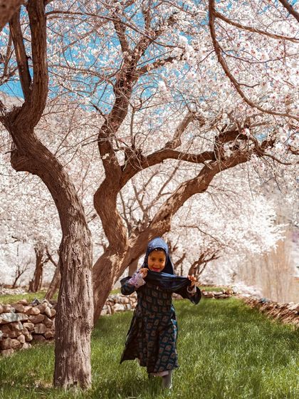 A young girl plays under an apricot tree in full bloom in Kargil. Her innocence and joy perfectly capture the spirit of spring in the Himalayas.