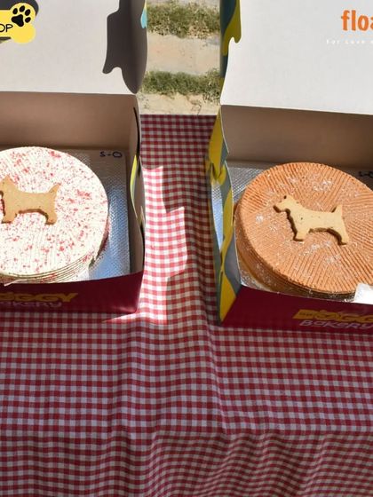 Poochkoo - Pet Events & Parties Our Pack & Partners photo 15