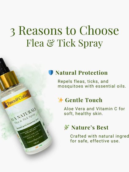 PawsnCollars - Veterinary Care Our Curated Pet Shop photo 3