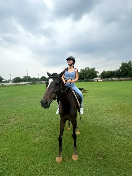 A rider on a dark horse in our expansive green field, with the cloudy sky adding a dramatic touch.