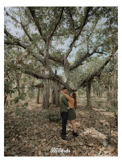 A wide shot of the couple embracing under a massive, ancient banyan tree. The scale of the tree emphasizes the strength and rootedness of their connection.