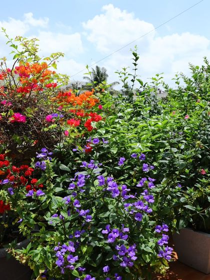 Another angle of the terrace garden, showing the lush green foliage and vibrant flowers against a bright blue sky. This is a true escape from the city below.