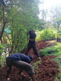 Garden Maintenance